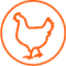 Volaille (poulets de chair)