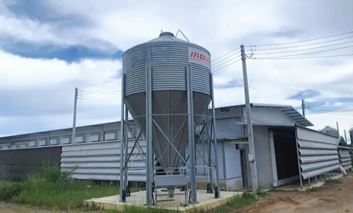 Permettre un &eacute;levage intelligent&nbsp;! Little Giant termine avec succ&egrave;s sa formation en contr&ocirc;le environnemental pour le projet tha&iuml;landais de 400 000 oiseaux pondeurs&nbsp;!&nbsp;