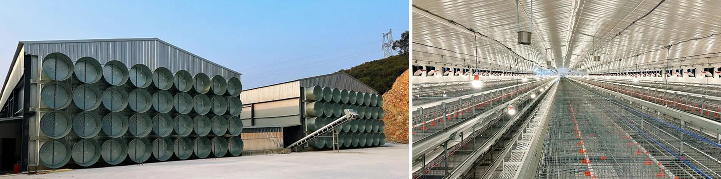Équipement de couvaison en place ! Little Giant aide la construction d'une ferme moderne de 2 millions d'oiseaux dans le Jiangxi à entrer sur la voie rapide