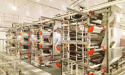 Phase&nbsp;I du projet Anhui termin&eacute;e&nbsp;! Little Giant aide la r&eacute;gion &agrave; lancer un nouveau mod&egrave;le d'&eacute;levage intelligent&nbsp;!