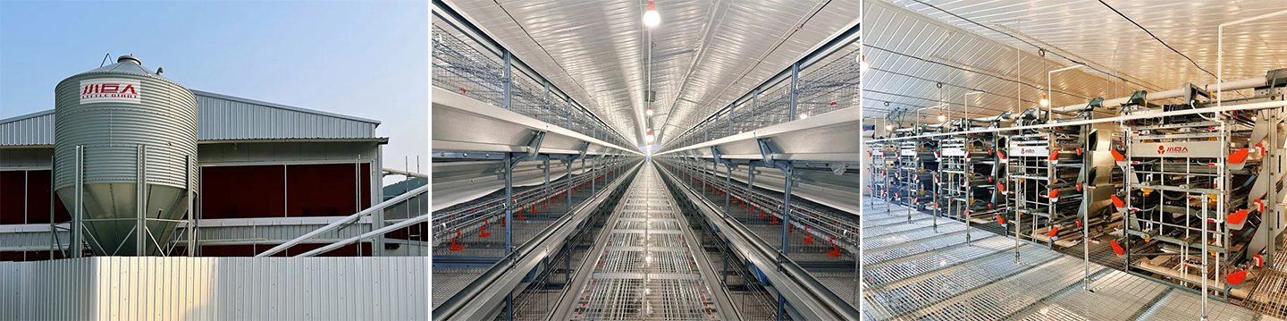 Équipement de couvaison en place ! Little Giant aide la construction d'une ferme moderne de 2 millions d'oiseaux dans le Jiangxi à entrer sur la voie rapide