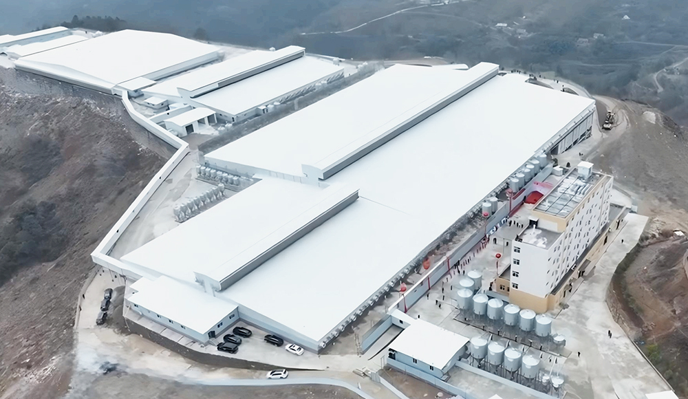 Ferme de porcs d'&eacute;levage d'Ankang Projet