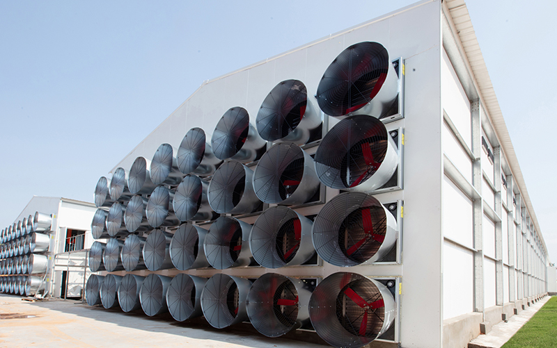 Ventilateur cylindrique collecteur de vent &agrave; haute pression n&eacute;gative et &eacute;conomie d'&eacute;nergie