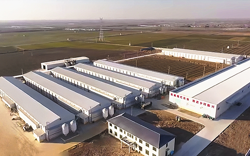 Jinan 1&nbsp;million de couches &agrave; 5&nbsp;rang&eacute;es et 5&nbsp;niveaux Projet