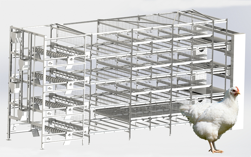 Cage de r&eacute;colte automatique des poulets de chair