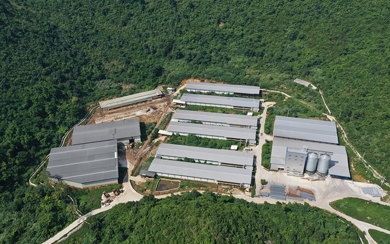 Projet Nanning d'un million de poules de chair &agrave; 5 rang&eacute;es et 4 niveaux