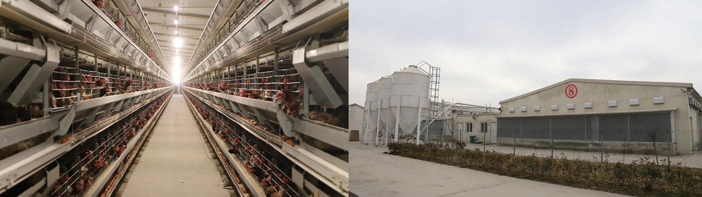 Petit Géant présente | Un autre projet haut de gamme livré au Fujian