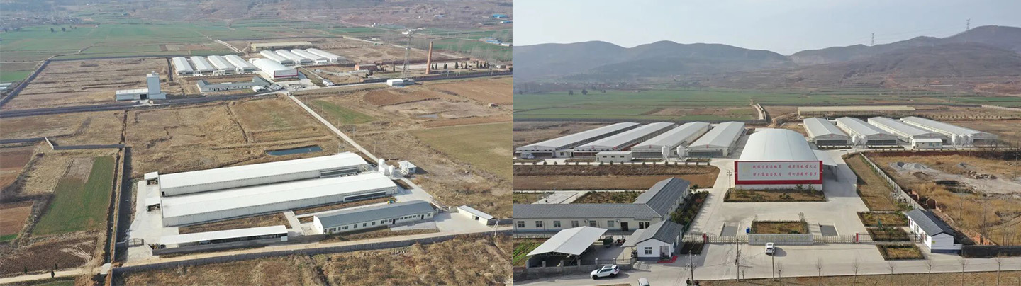 Little Giant aide Hangshuo Animal Husbandry à créer une entreprise agricole numérique de premier plan dans la province du Henan