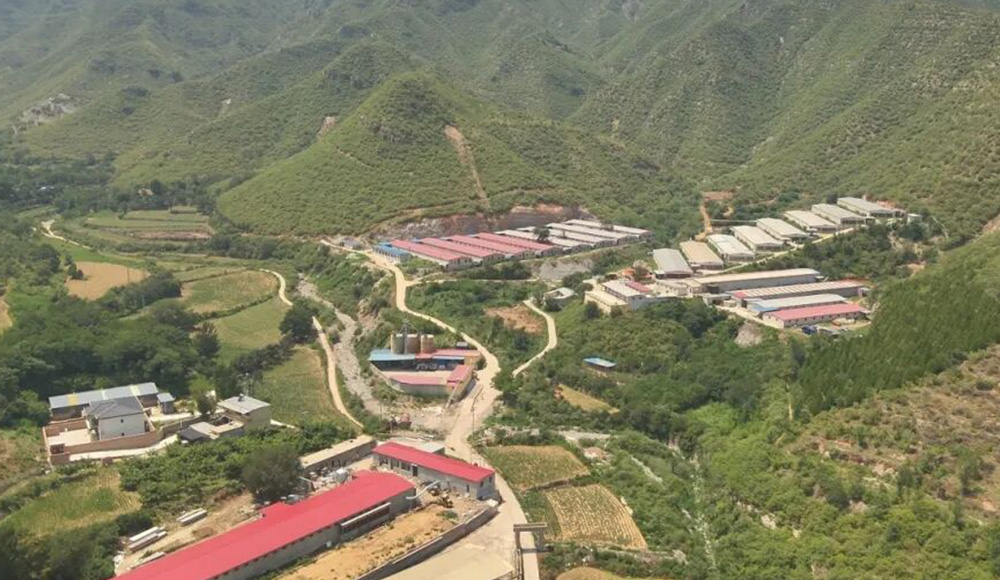 2024 Hebei Ponding Hen Welfare Vitrine du projet de cage