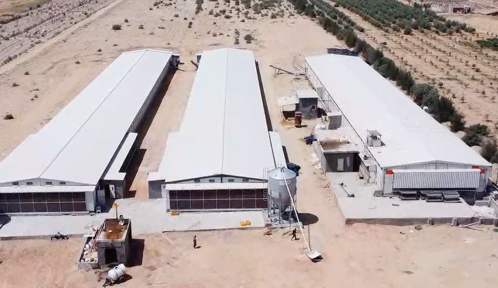Un nouveau mod&egrave;le de coop&eacute;ration sino-&eacute;gyptienne&nbsp;! Little Giant construit une &laquo; oasis &raquo; moderne pour