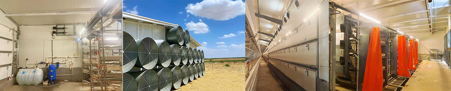 Un nouveau modèle de coopération sino-égyptienne ! Little Giant construit un moderne 