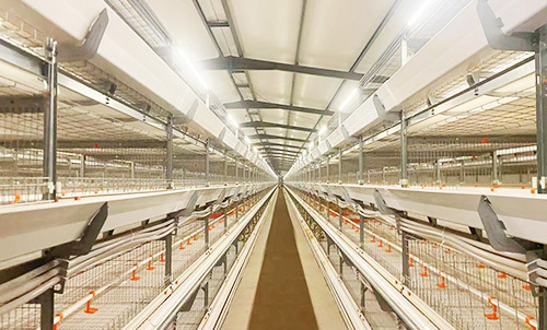 Un nouveau modèle de coopération sino-égyptienne ! Little Giant construit un moderne 