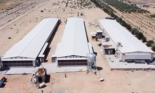 Un nouveau modèle de coopération sino-égyptienne ! Little Giant construit un moderne 