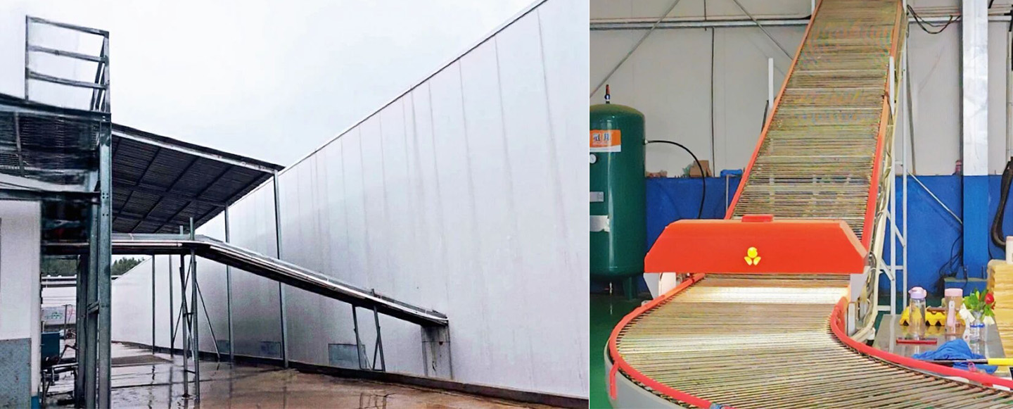 Réalisation réussie ! L'équipement intelligent Little Giant permet une agriculture moderne à Macheng, Huangg