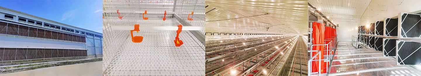 Phase I du projet Anhui terminée avec succès ! Little Giant permet à l'élevage local intelligent de loin