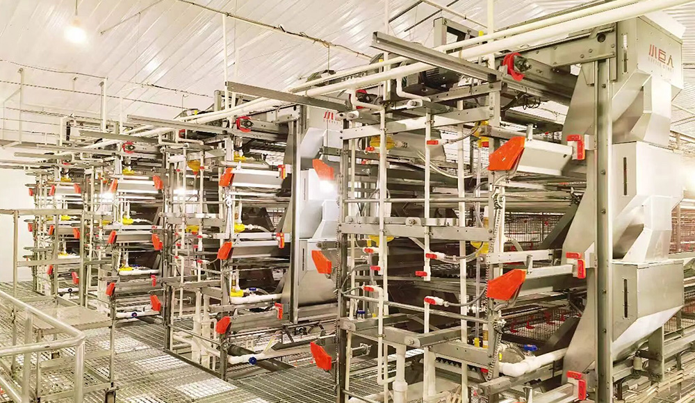 Phase I du projet Anhui terminée avec succès ! Little Giant permet à l'élevage local intelligent de loin