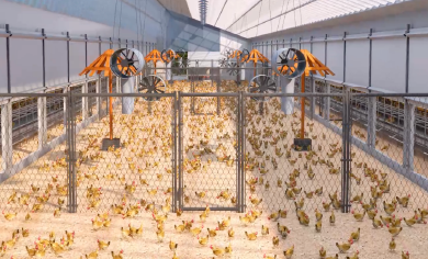 Le syst&egrave;me d&rsquo;agriculture verte et &agrave; faible teneur en carbone de Little Giant&nbsp;: ouvrir un nouvel avenir pour la production de poules pondeuses.
